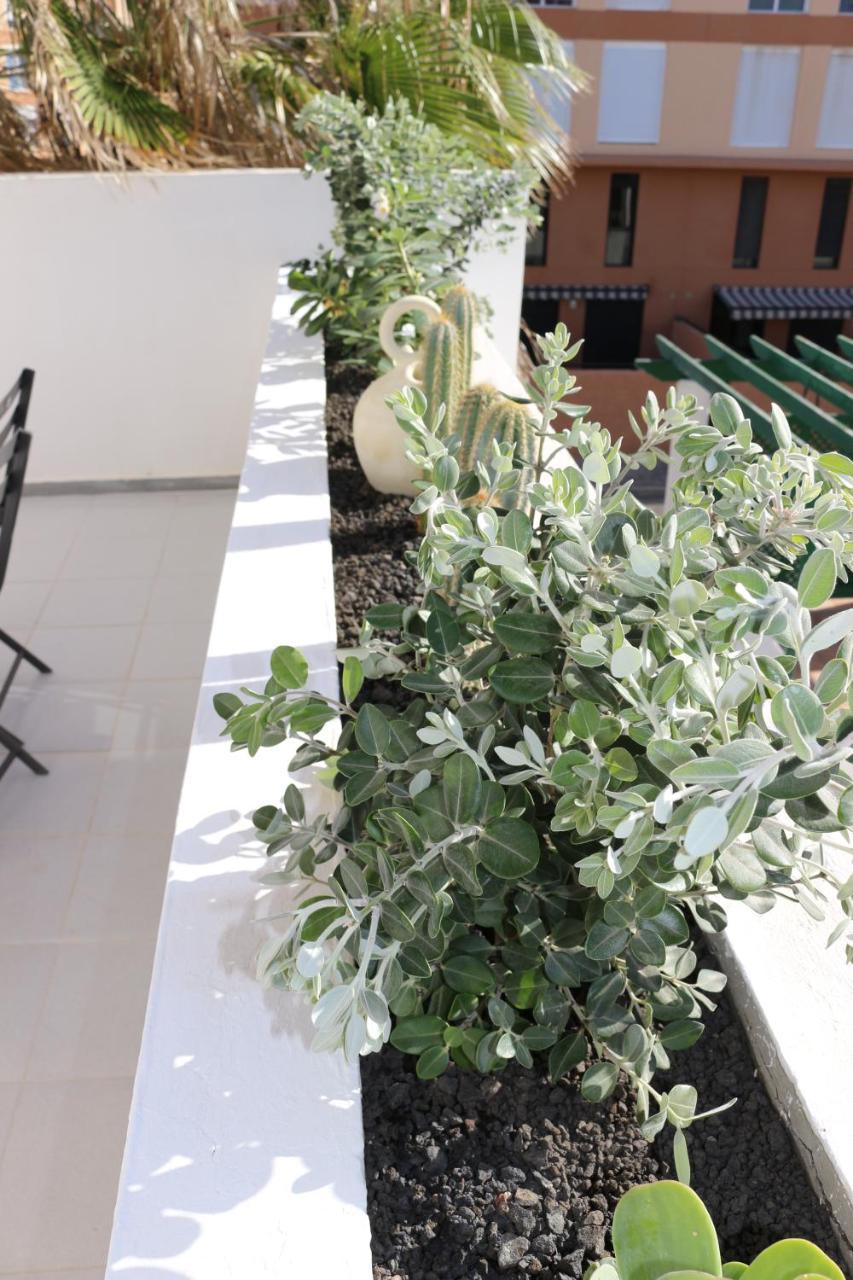 Bungalow Balancon Duplex Ель-Медано Екстер'єр фото
